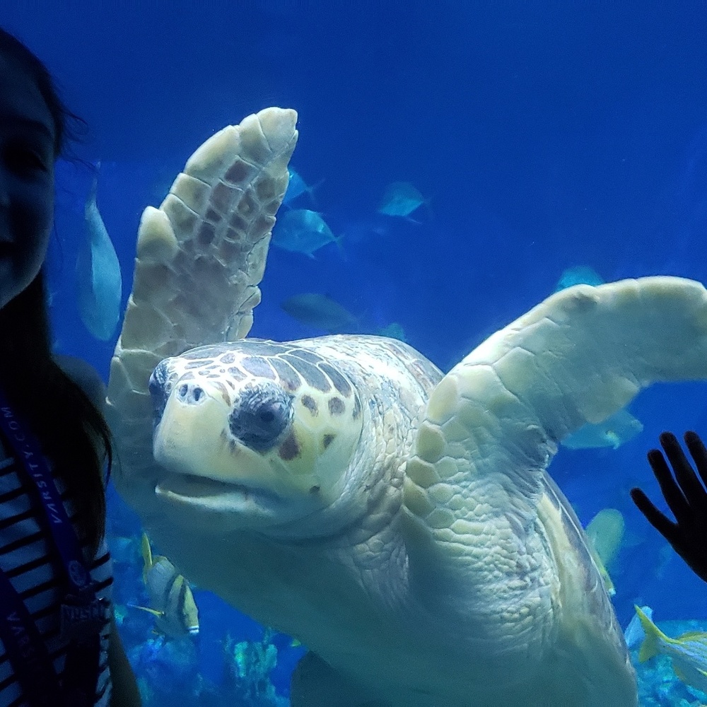 Meet your Posher, Scott